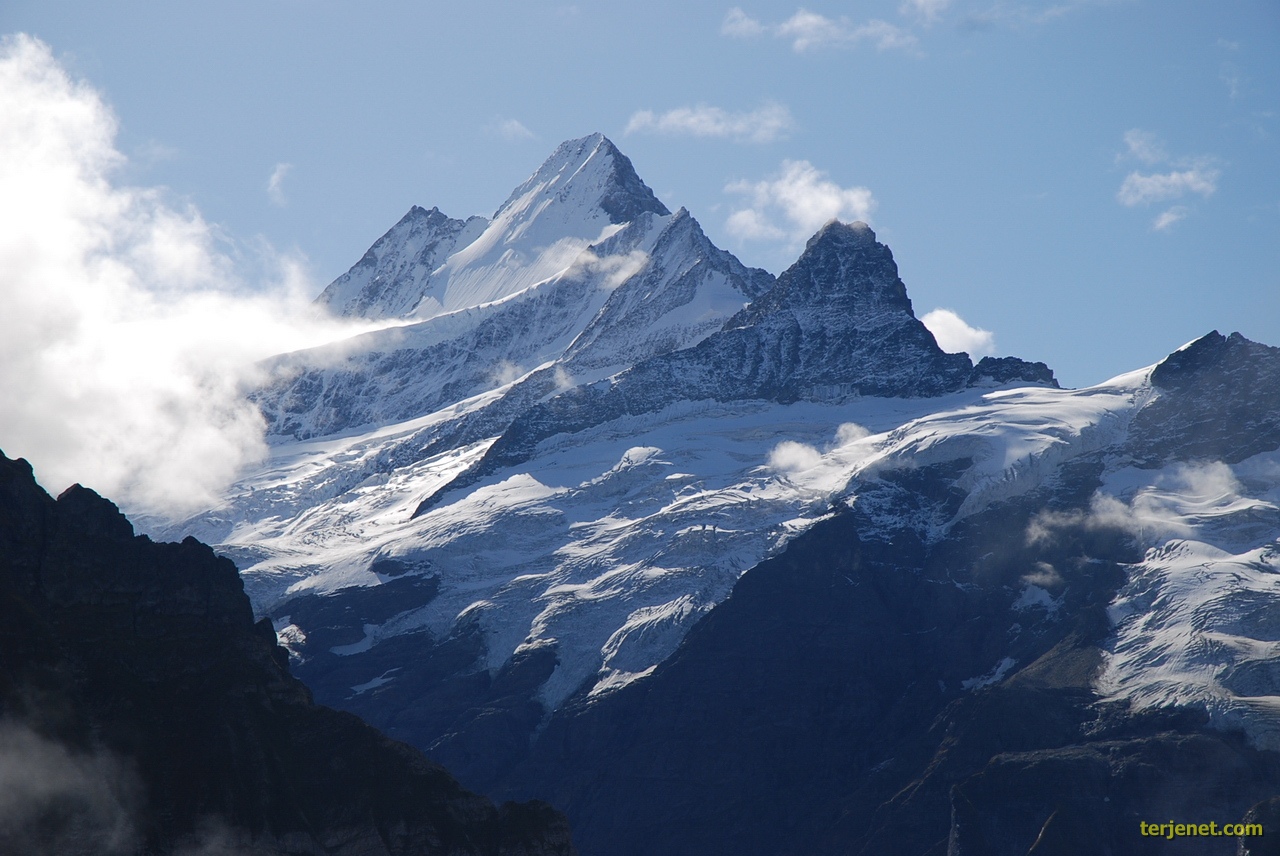 Schreckhorn